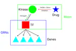 Predicting gene expression on drug perturbations